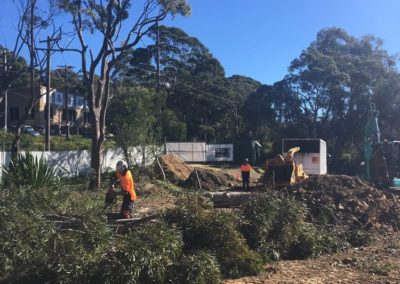 Tree Removal for Land Clear, Helensburgh