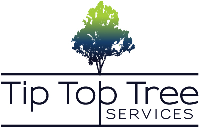 Top Top Tree Services