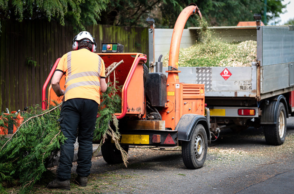 Tree Chipping Services