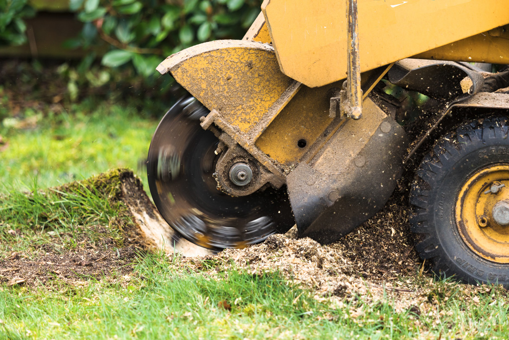 Tip Top Tree Services Stump Grinding & Stump Removal
