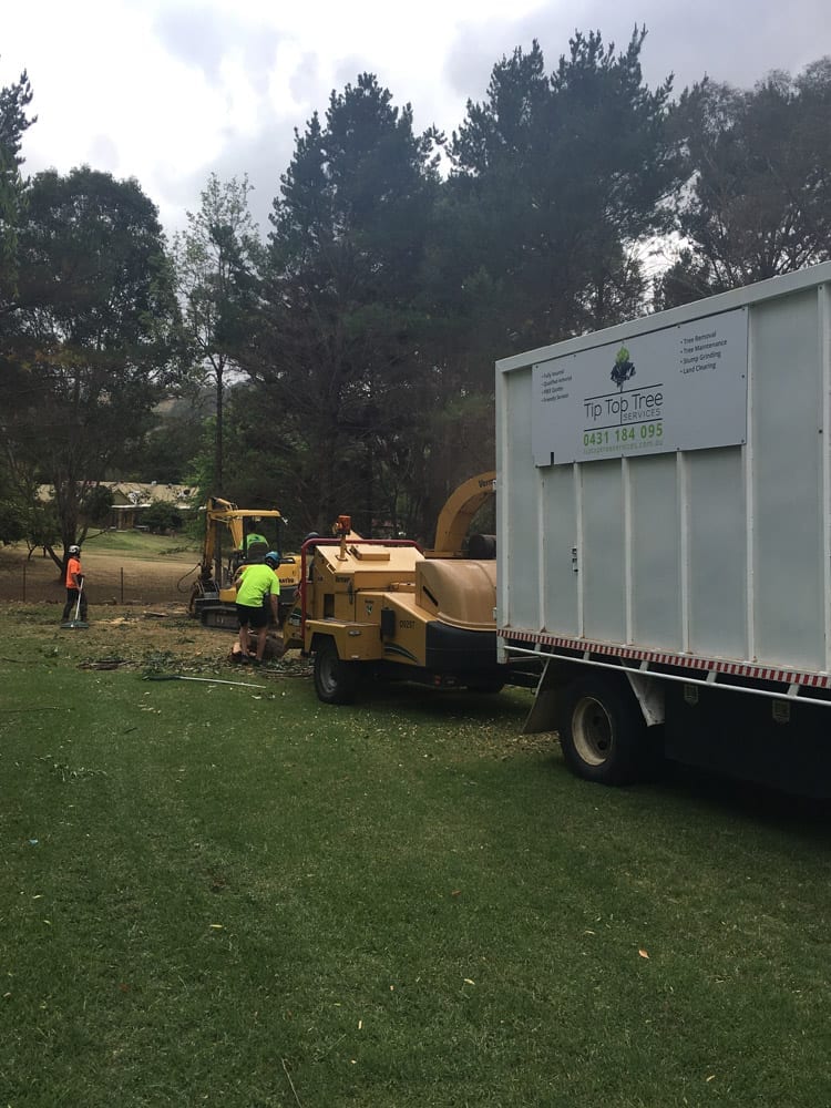 Tree Pruning & Land Clearing Wollongong